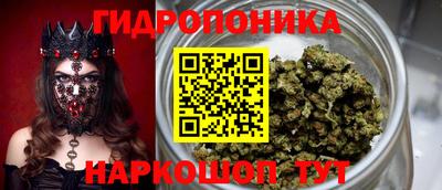 твердый Владивосток