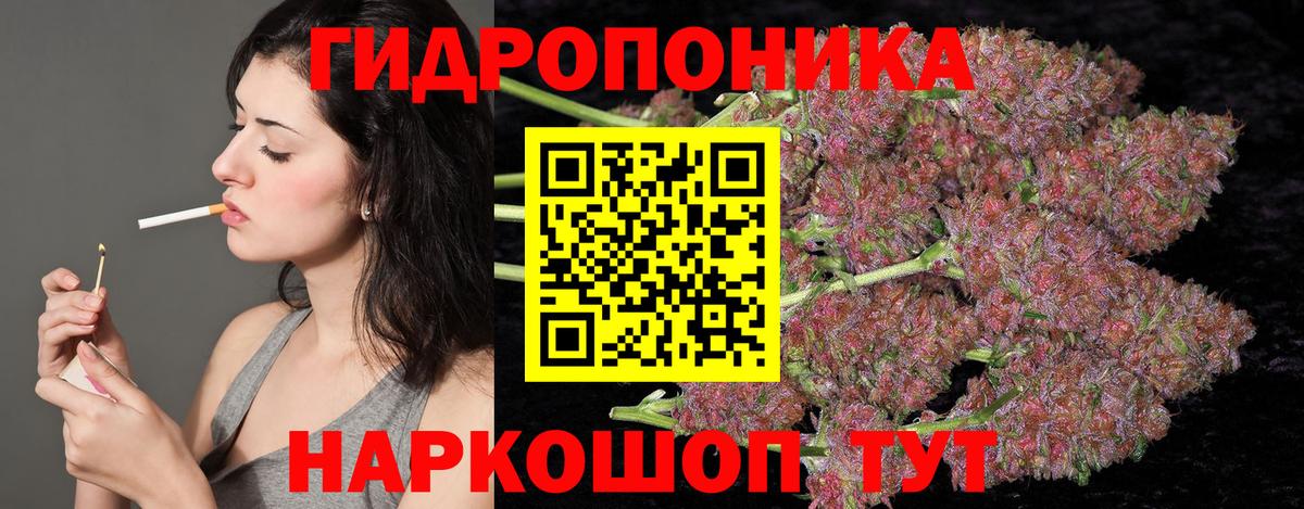Бошки марихуана индика  Марихуана AK-47  Шишки марихуана планчик  Вход с VPN  Ачхой-Мартан  Бошки марихуана индика 